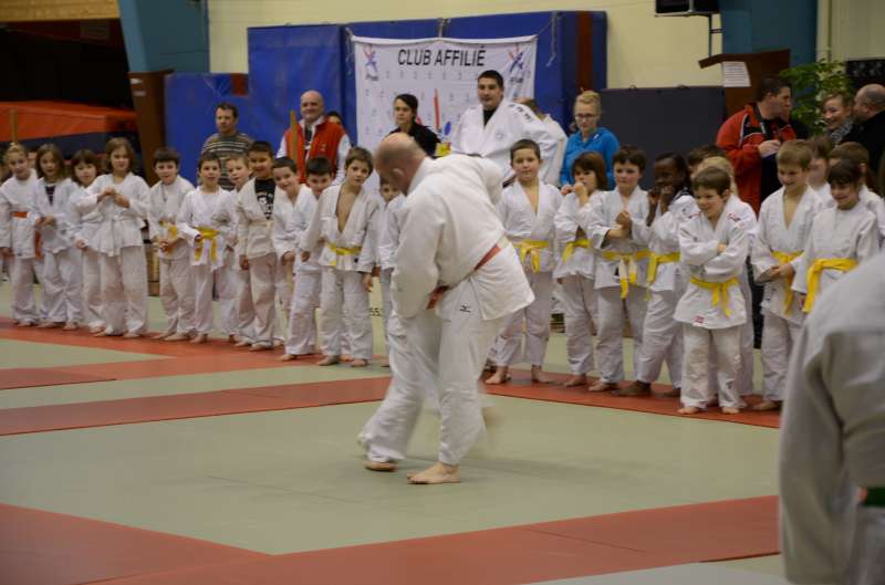 DSC_2563-800.jpg