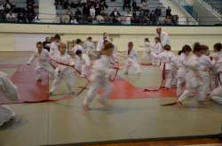 DSC_2504.jpg DSC_2504.jpg
