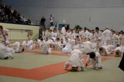 DSC_2554.jpg DSC_2554.jpg