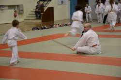DSC_2558.jpg DSC_2558.jpg