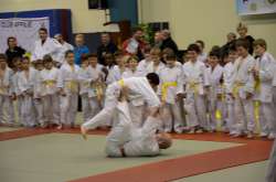 DSC_2565.jpg DSC_2565.jpg