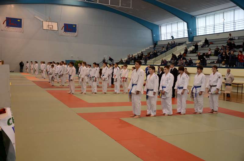 DSC_2609-800.jpg