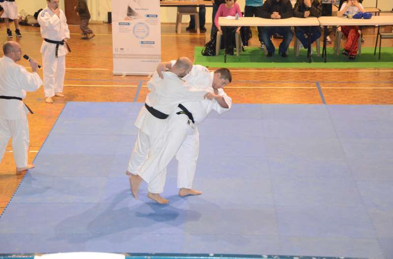 DSC_2710-800.jpg