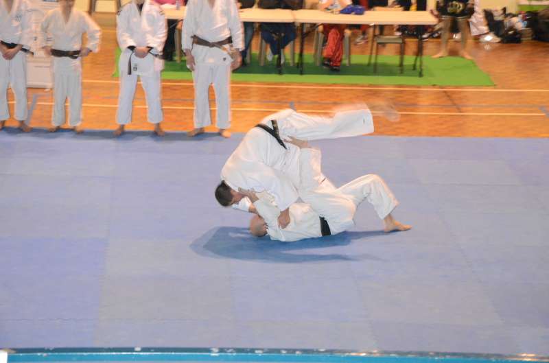 DSC_2727-800.jpg