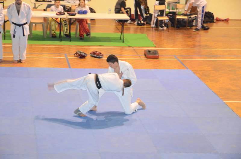 DSC_2779-800.jpg