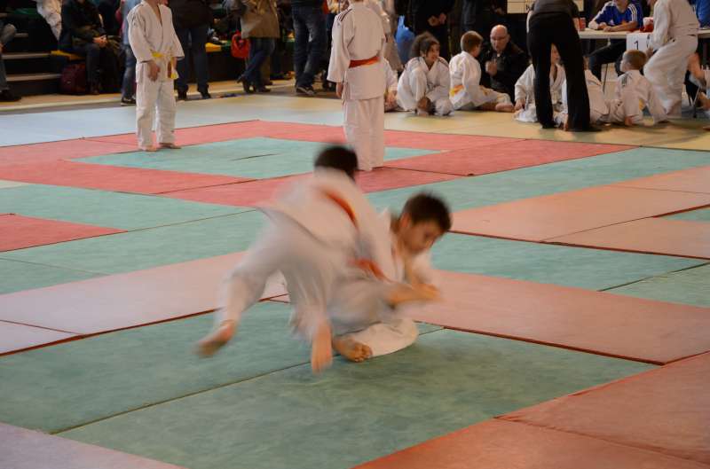 DSC_2911-800.jpg