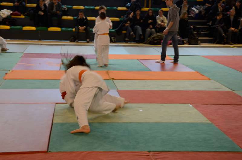 DSC_2914-800.jpg