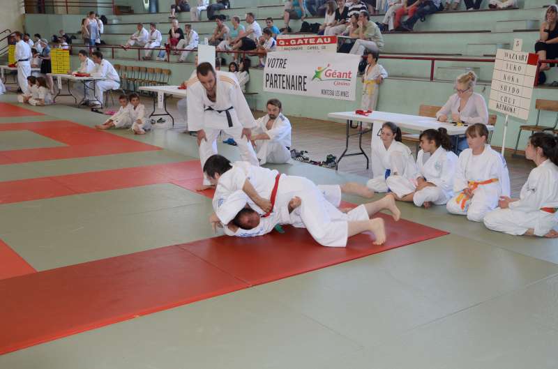 DSC_2979-800.jpg