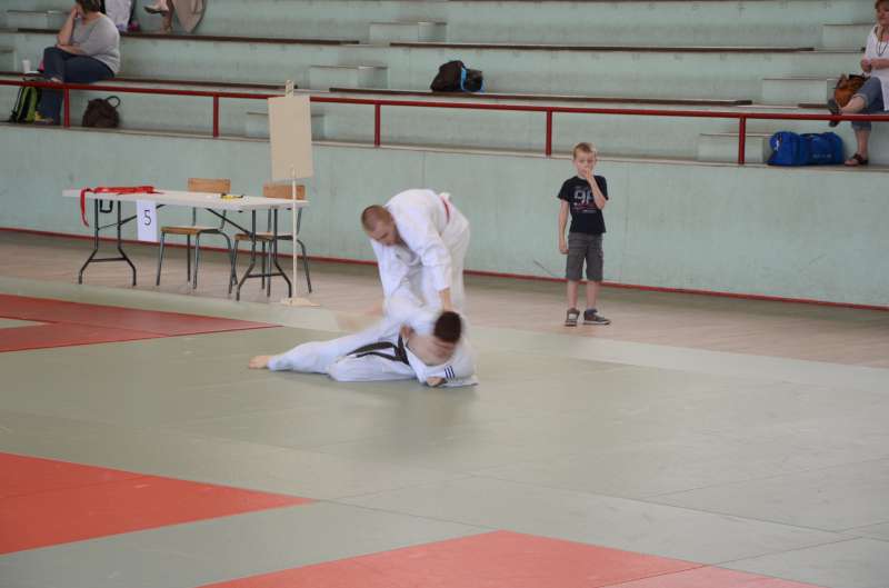 DSC_3002-800.jpg