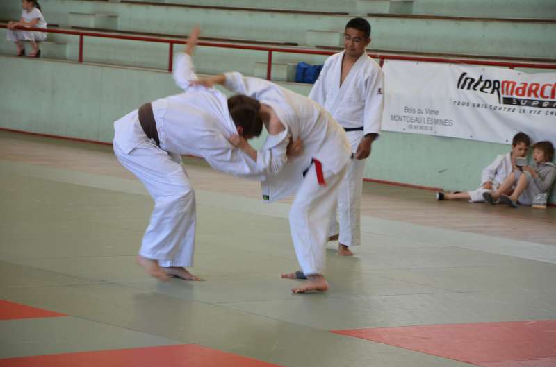 DSC_3019-800.jpg