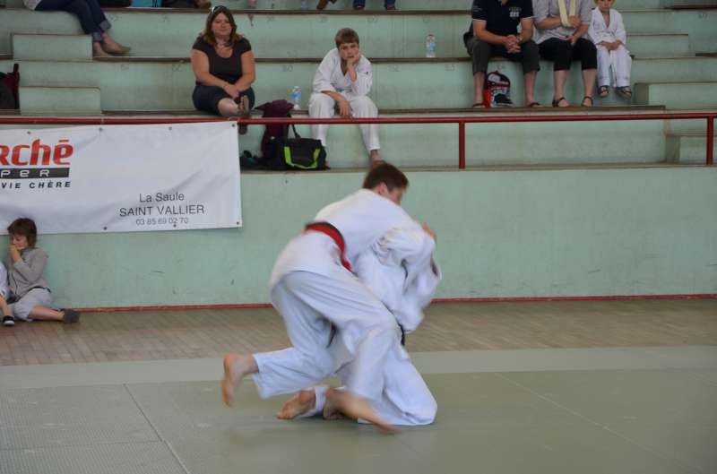 DSC_3028-800.jpg