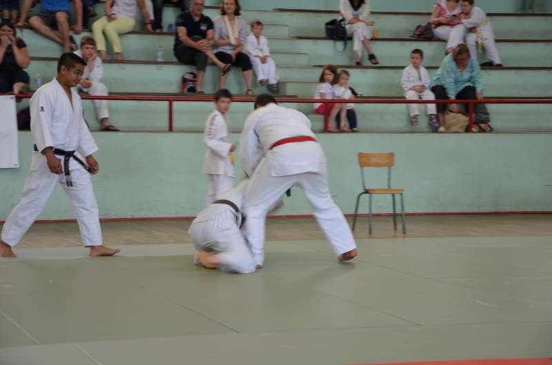 DSC_3046-800.jpg