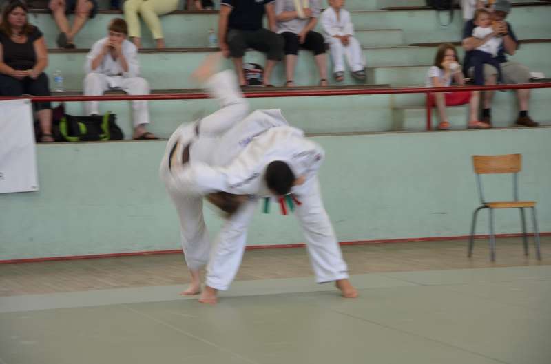 DSC_3051-800.jpg