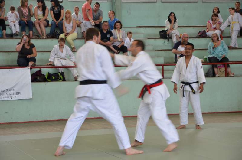 DSC_3069-800.jpg