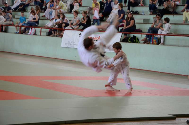 DSC_3083-800.jpg