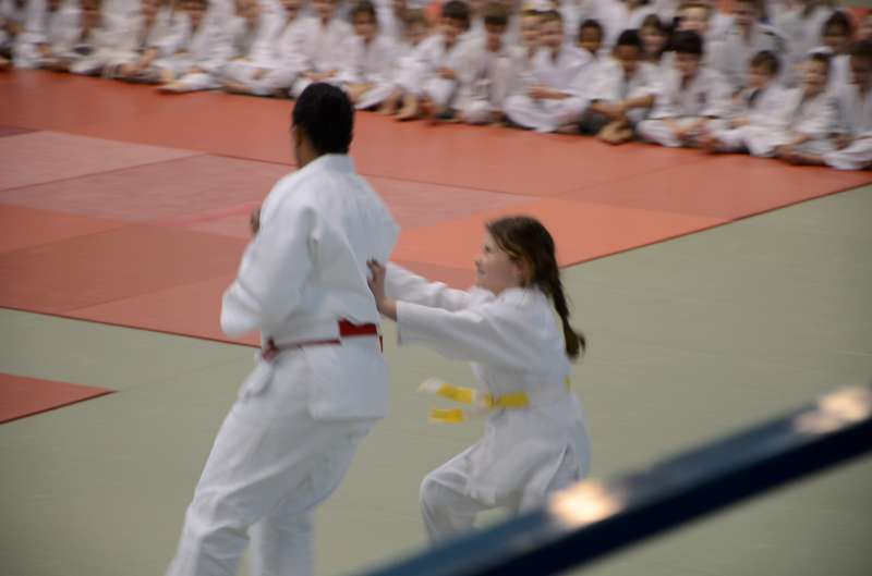 DSC_4393-800.jpg